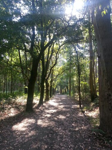 20130710_184320.jpg image